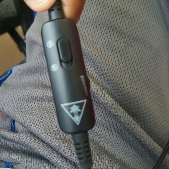 Turtle beaches - Picture 5 of 6